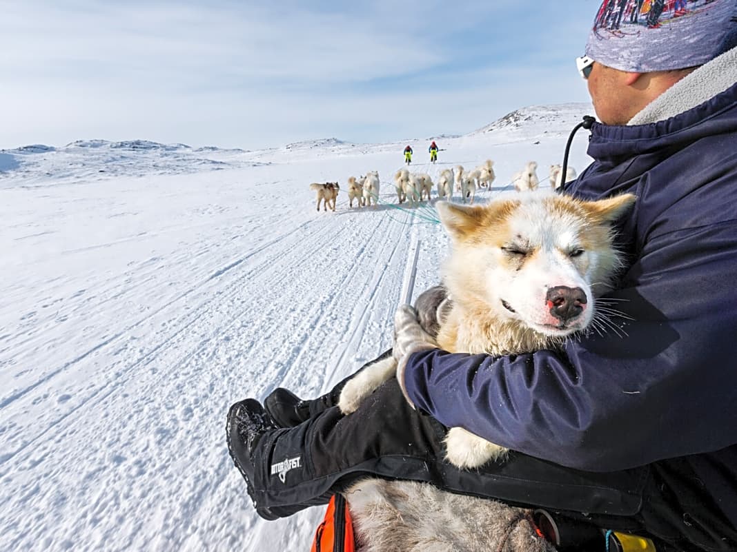 Ein unzertrennliches Paar in Grönland: Mensch und Hund