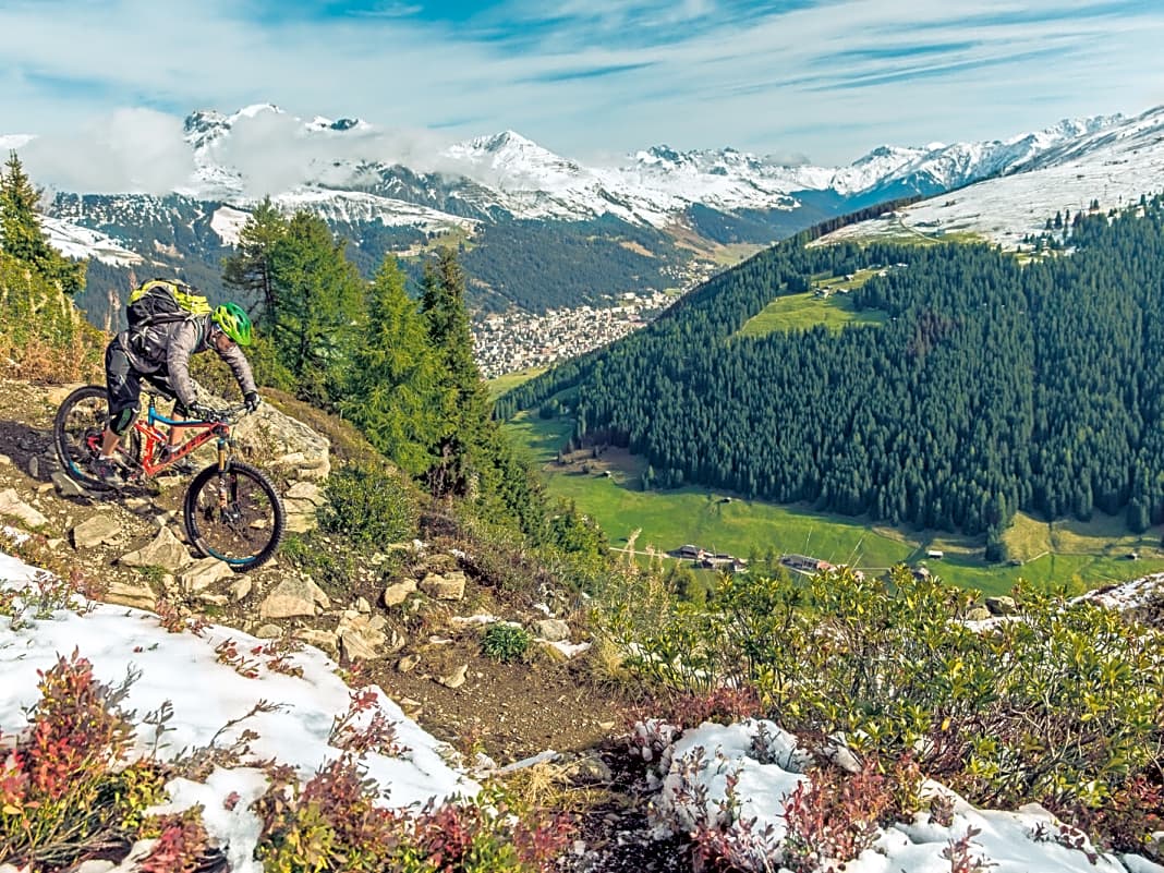 Alps Trail Davos