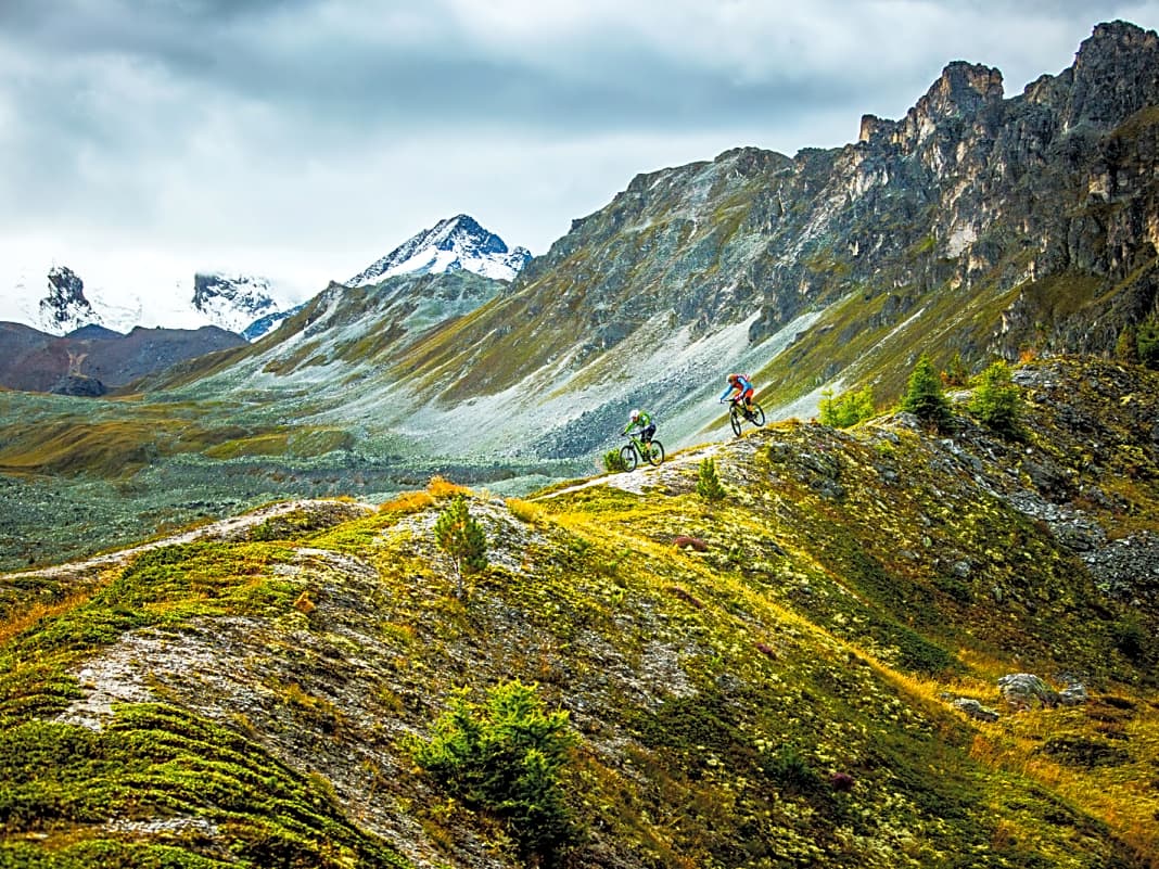 Wallis: Am Aletschgletscher – Der Blick auf den größten Gletscher der Alpen verschlägt einem den Atem, aber auch die weiteren Trails durch seine abgetauten Seitentäler sind ein großes Erlebnis. So wie hier die Bettmer Alp. 