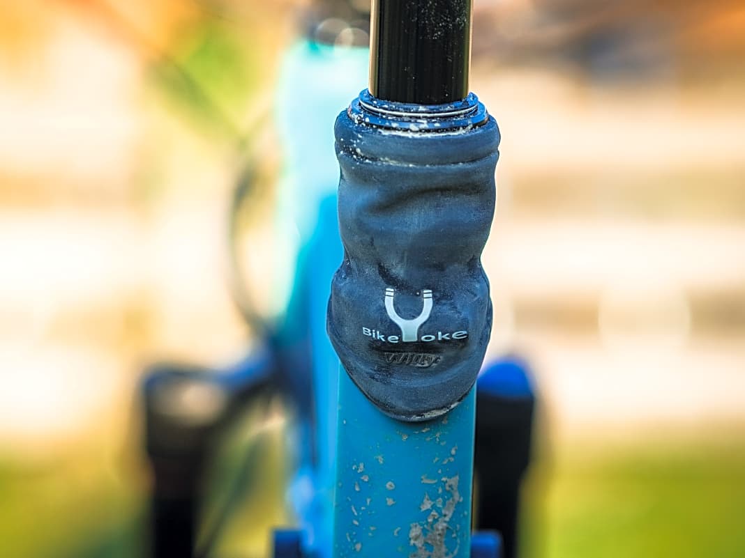 Transalp Bikes Signature 3 AM LTD 2.0: Der Gummiüberzieher hält Schmutz und Feuchtigkeit draußen und die Stütze damit knarzfrei.