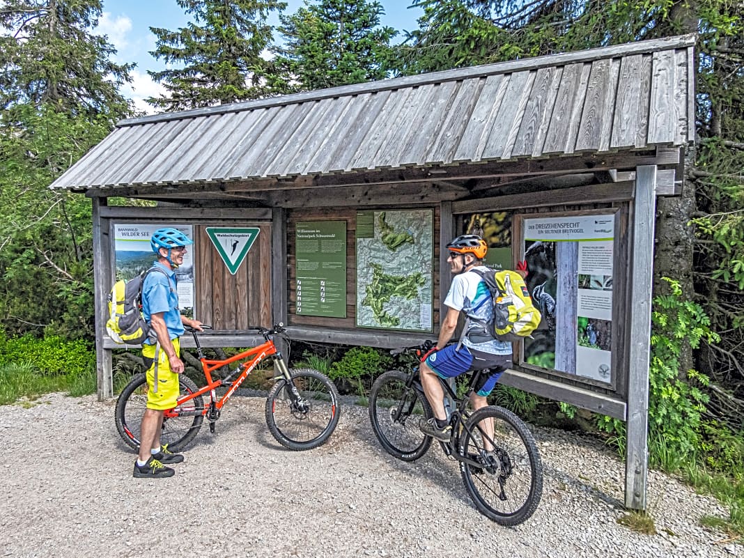 Legalize it: Mountainbiker können sich auch im Nationalpark Schwarzwald willkommen fühlen.