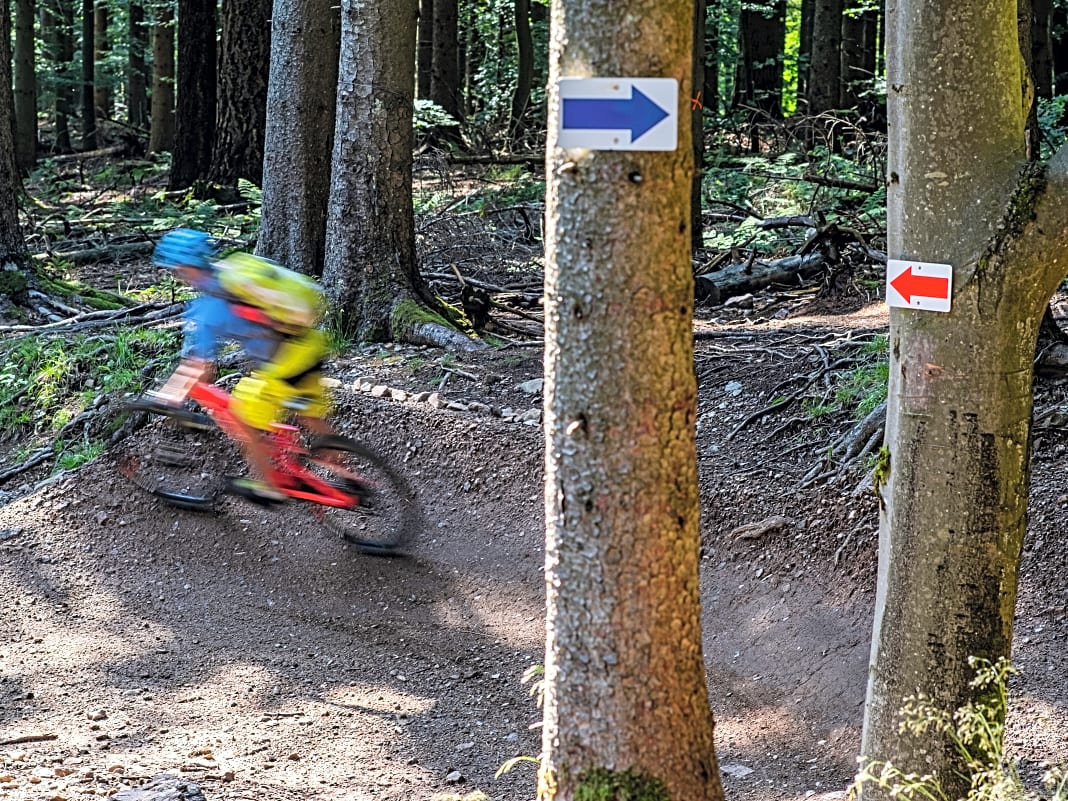 Die Sasbachwalden-Trails leiten Biker mit jeder Menge Anlieger und Airtime ins Fachwerkörtchen.