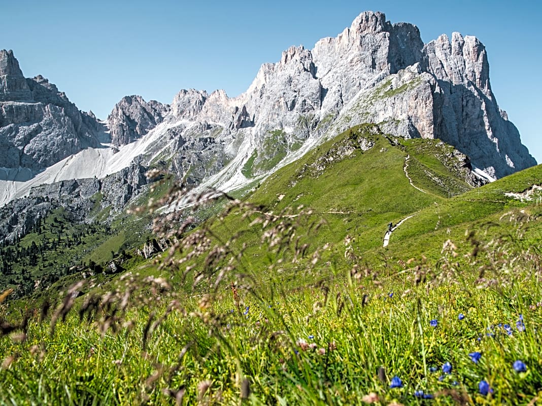 Das Tal von Lungiarü ist exemplarisch für die Ladiner Dolomiten: Aus plüschigen Almwiesen schießen die mächtigen Felswände des Puez-Geisler-Massivs wie Pilze empor.
