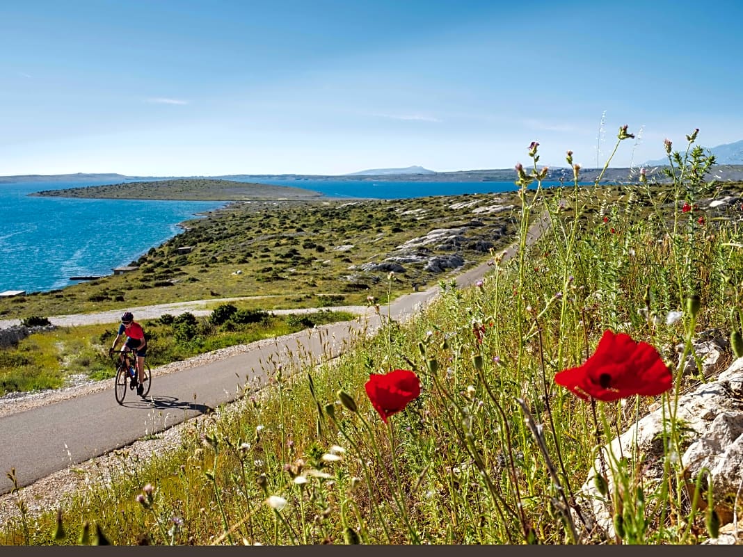 Rennradtouren rund um die Weltkulturerbe-Stadt Zadar