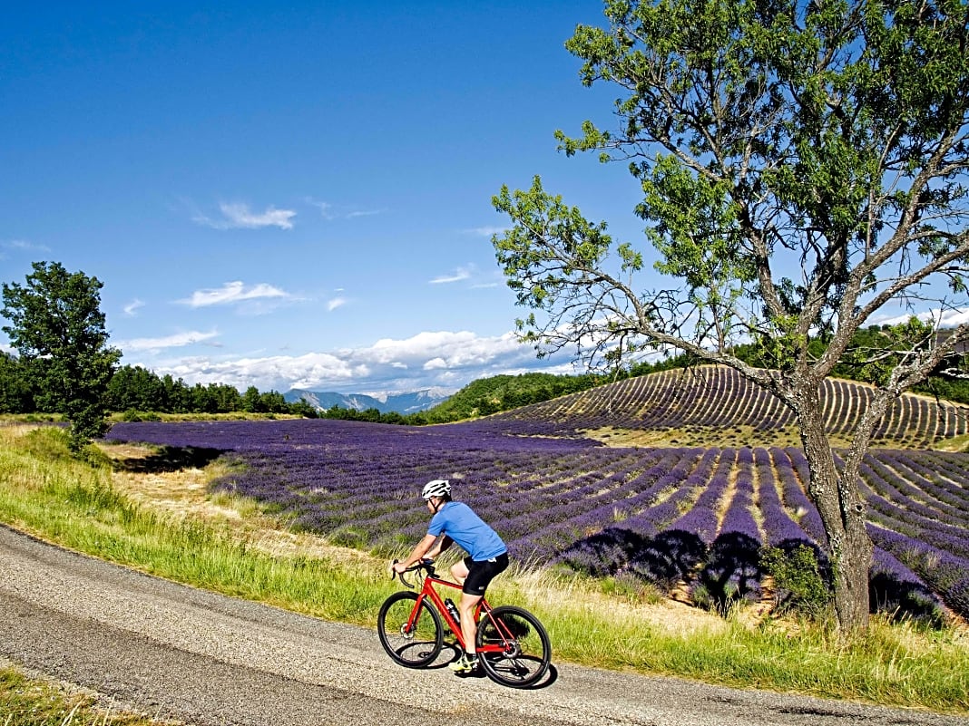 Rennradtouren in den Alpes-de-Haute-Provence - Südfrankreich: Traumtouren zwischen Alpen und Provence