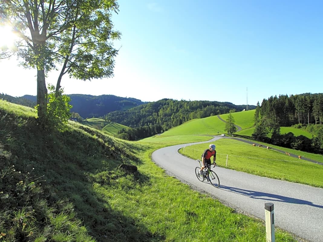 Vier Rennradtouren in der Steiermark - Die schönsten Rennradtouren rund um Graz