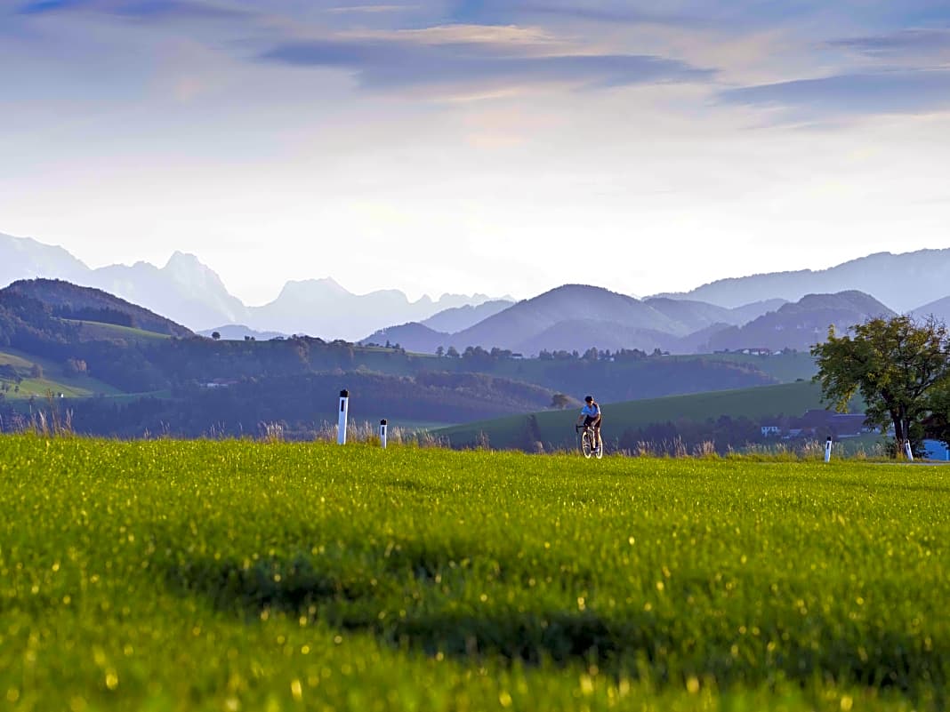 Vier Rennradtouren in Oberösterreich - Seen und Berge: Traumtouren von Wels ins Alpenvorland