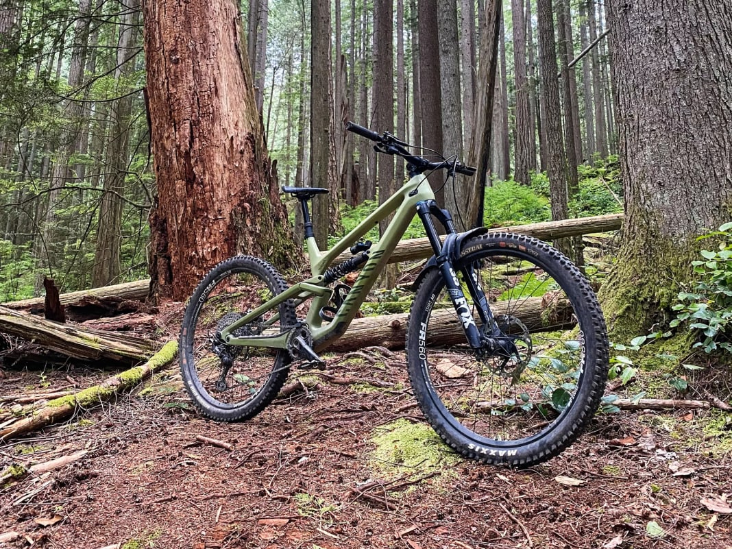 Canyon Torque Mullet CF 8