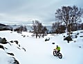 Knirschender Schnee unter den Reifen und schier unendliche Weite: Abenteuer Lappland. 