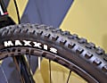 Ungewöhnlich grob für ein Scott Spark: Maxxis Dissector-Reifen