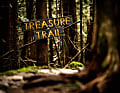 Fieses Ding: Der Treasure Trail ist einer der wenigen Double-Diamond-Trails in Squamish. Die krassen Stunts und Sprünge schaffen nur absolute Cracks.