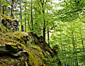 Mountainbike-Tour in Deutschland: Thüringer Wald