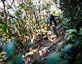 Früher der Arbeitsweg von Köhlern, heute gefeierte Urlaubs-Trails für Mountainbiker: die Trails von Punta Ala
