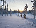 Lappland: Fatbike-Expedition