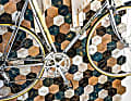 Holz Waidelich Modell Howa Bike Wall Kit