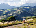 Reise: Alpes-de-Haute-Provence
	Alpine Gebirgszüge, vereint mit provenzalischem Flair und überdurchschnittlich viele Sonnenstunden – die Gegend rund um das Städtchen Sisteron bietet alles, was das Rennradfahrer-Herz begehrt. Wir zeigen vier abwechslungsreiche und verkehrsarme Routen durch eine der schönsten Regionen Südfrankreichs