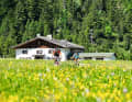 Ziel: Topfen. Zwischen Allgäu und Berchtesgaden warten viele gute Einkehrstationen. Doch diese sechs Adressen stechen auch durch ihre besonders idyllischen Anfahrtswege heraus. Ideal fürs E-MTB.