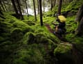 2. Nordsee-Trail in Schweden: Die offizielle North Sea Cycle Runde ist etwa so spannend wie der Bodensee-Rundweg. Aber folgt man dem Wanderweg um die Nordsee, dann haben auch Mountainbiker Spaß in einsamer Wildnis. Allerdings reichen dann die 370 km an Schwedens Südwest-Küste. Infos: www.northseatrail.org