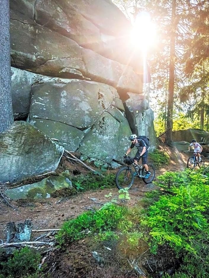Die 14 besten Mountainbike-Trails in Deutschland