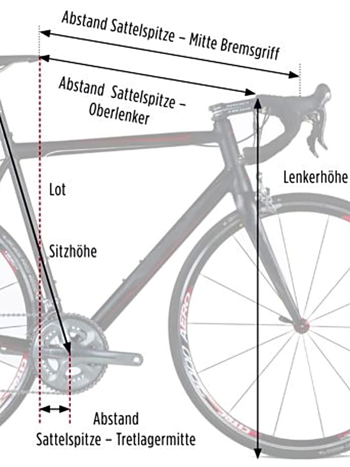 Welche Rahmengröße beim Rennrad brauche ich?