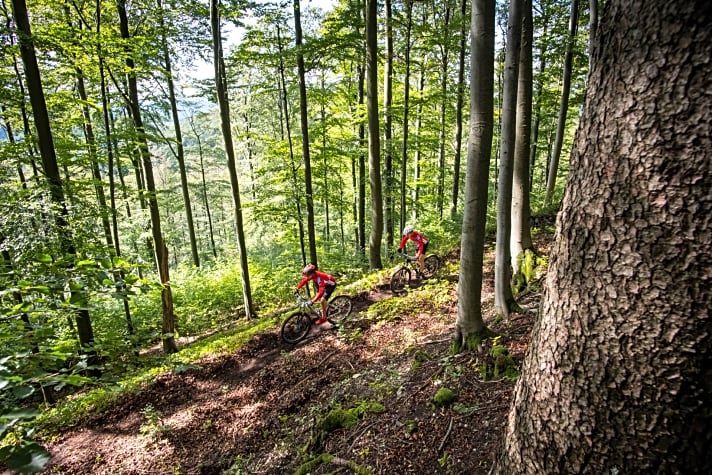  Das MTB-Team Schwarze Berge auf seinem selbst angelegten Trail durch die Wälder der Rhön.