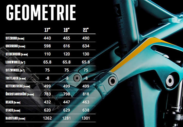   Die moderate Geometrie des Swoop Hybrid. Die Kettenstreben fallen selbst für ein Bosch-Bike extrem lang aus.