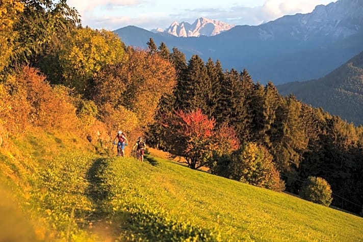   Sanfte Almen-Trails und die Dolomiten nur als Bildrahmen: Das kann das Pustertal auch.