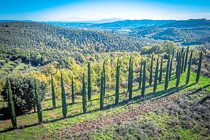   Abwechslung von den toskanischen Waldtunnel-Trails: Von diesem Zypressen-Trail oberhalb des Lago di Accesa blickt man tief in die toskanische Hügellandschaft.