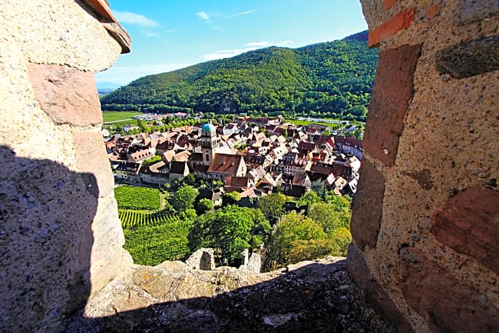   Fachwerk, Weinberge und Burg verzücken jeden Besucher. Das Örtchen Kaysersberg ist ein idealer Ausgangspunkt für Touren.