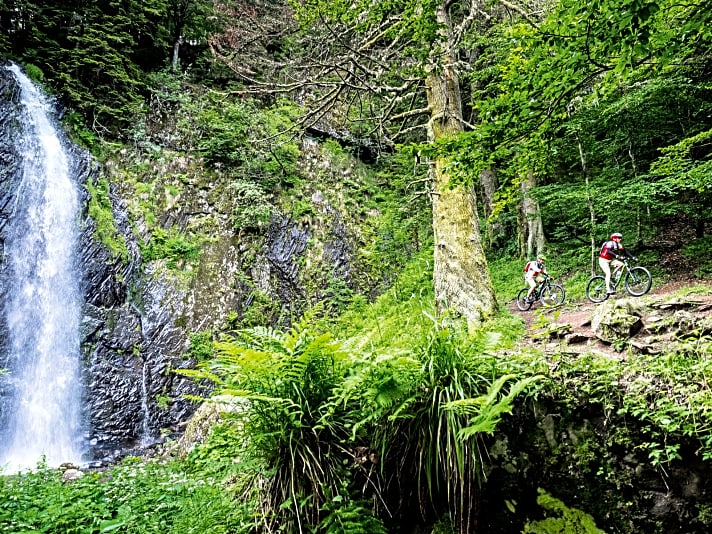   Im dichten Waldpelz der Auvergne verstecken sich Wasserfälle wie die Cascade du Queureuihl.