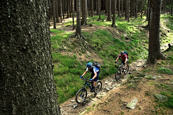   Typischer MTB-Trail im Oberpfälzer Wald.