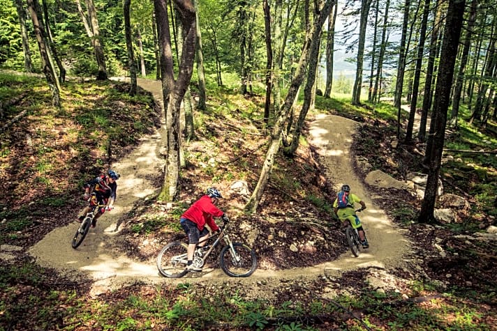   Ein lauschiger Wald umgibt den Flow Country Trail und verdeckt die Adrenalin-Achterbahn für Mountainbiker.