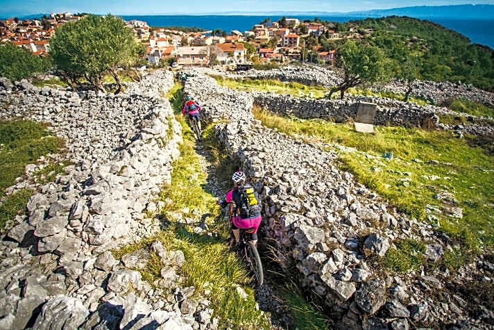   Typisch auf Kroatiens Inseln: Trails in den Trockenmauern