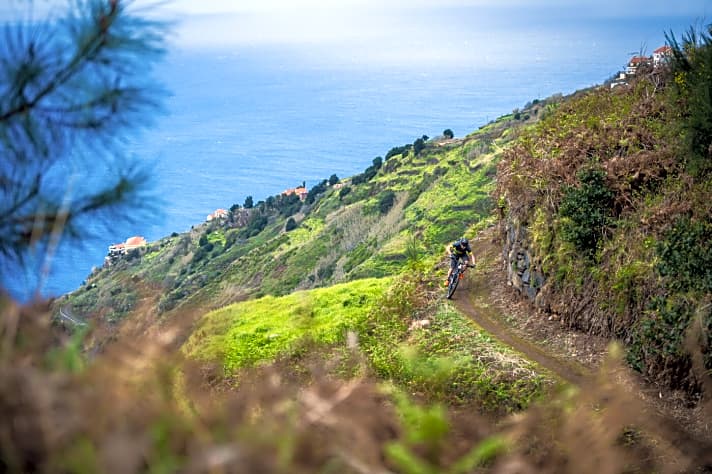   Unser Testrevier für das YT Jeffsy: MTB-Trails mit Meerblick auf Madeira.