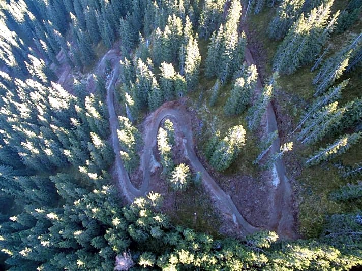   Der Flow-Trail "Hot Shots fired by GoPro" im Bikepark Leogang schlängelt sich ohne starkes Gefälle ins Tal.