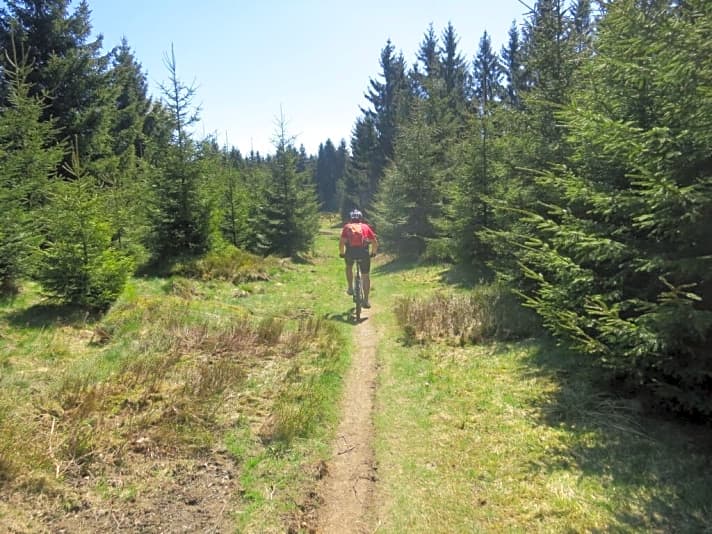   Wer hätte das gedacht: Deutschlands längster Trail befindet sich im Harz! Der Magdeburger Stieg.