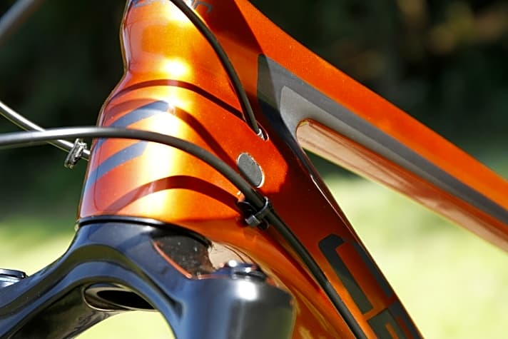 Centurion No Pogo: Carbon zum Jubiläum | BIKE