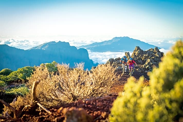   Wer mit Condor nach La Palma fliegt, kommt mit einem Leih-Bike günstiger. Tipp: eigenen Sattel und Pedale mitnehmen!
