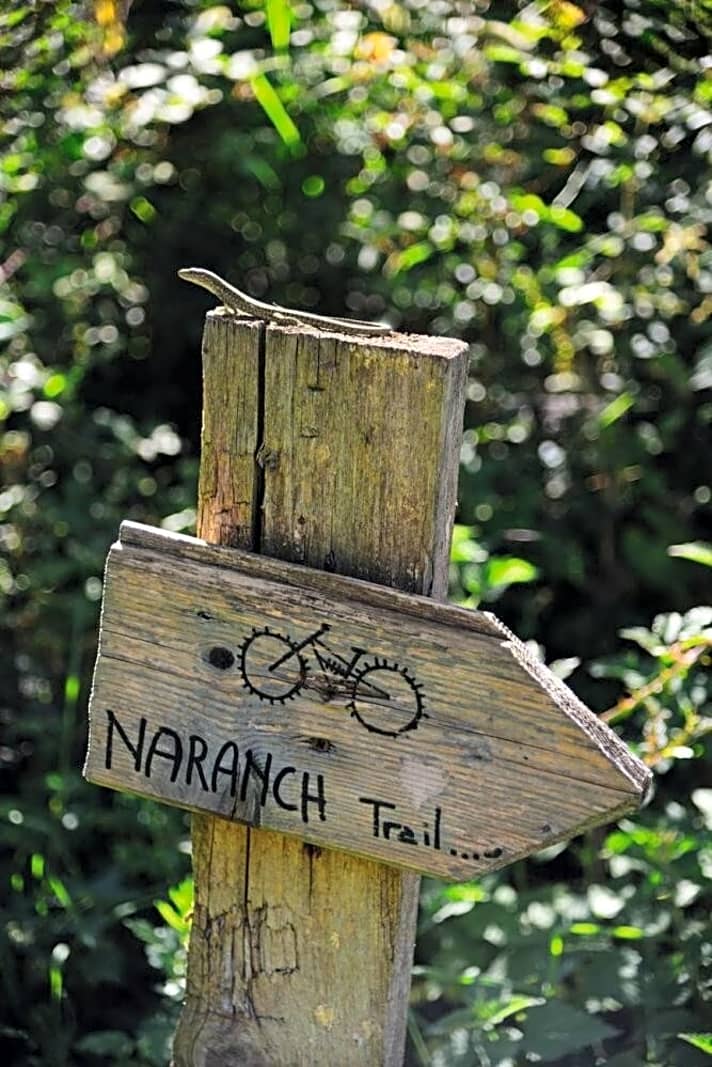   Der Naranch-Trail zählt zu den ersten für Biker komplett gebauten Trails am Gardasee.