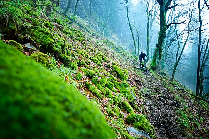   Nicht nur Trails, auch Hexen-Mythen ranken sich um den höchs­ten Gipfel im Harz. 