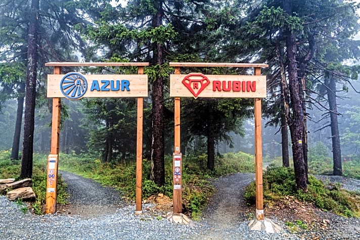   Trailpark Klínovec: Der blaue Azur-Trail links ist für Einsteiger geeignet; rechts auf dem roten Rubin-Trail werden Biker schon mehr gefordert.