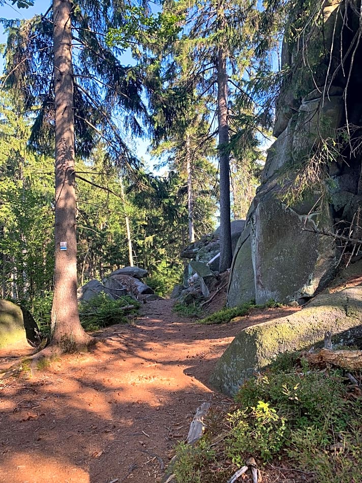   Das Trail-Highlight des Tages: der Püttner-Trail von der Kösseine runter.