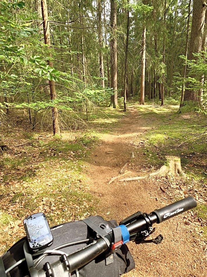   Über den "Ronny-Trail" auf dem Weg nach Waldsassen.