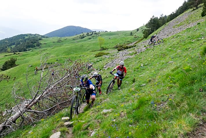   Die Pyrenäen sind weit weniger erschlossen als die Alpen. Mancher Berg macht es den Fahrern mit heftig verwucherten Trails zusätzlich schwer.