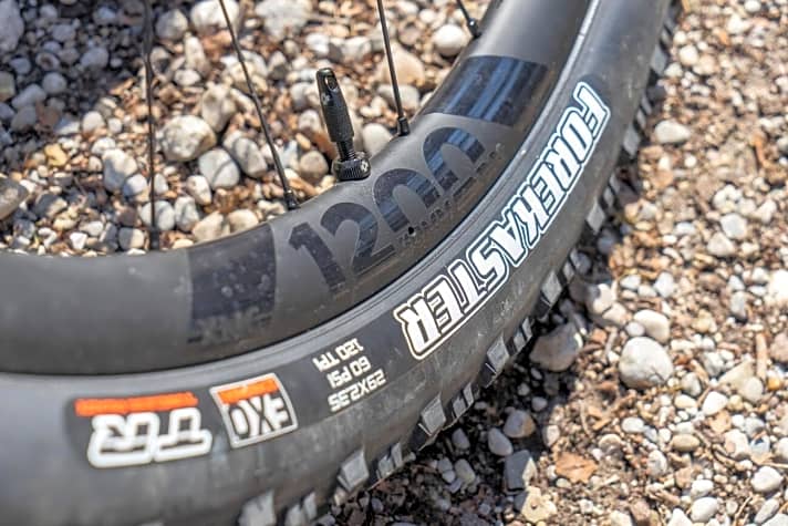   DT Swiss Carbon-Laufräder und Maxxis Forekaster-Reifen verleihen dem Izzo einen direkten Antritt und Ausdauer auf langen Touren.