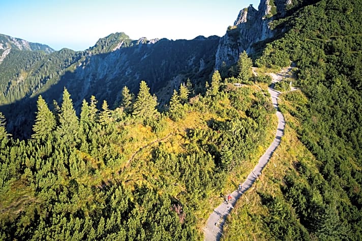   Seichte Trails und Forstwege, oder knackige Trail-Abschnitte: Am Herzogstand können E-Mountainbiker aus zwei Abfahrtsvarianten wählen. 
