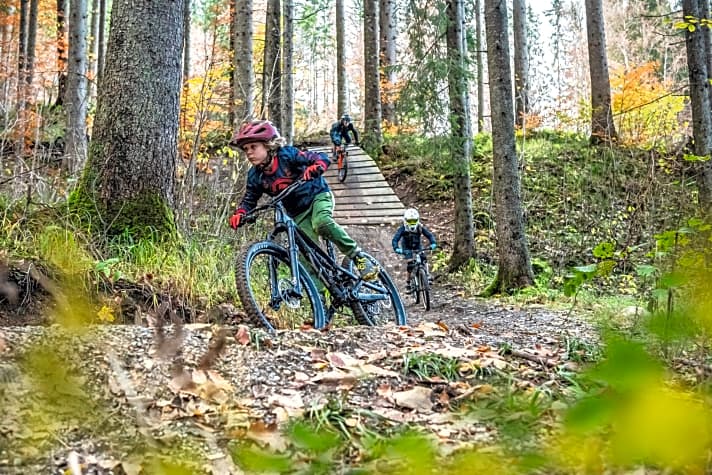   Nestflüchter: Mit der Unterstützung einer Horde bike-begeisterter Kinder haben wir sechs Junior-Fullys im Bikepark Oberammergau getestet.