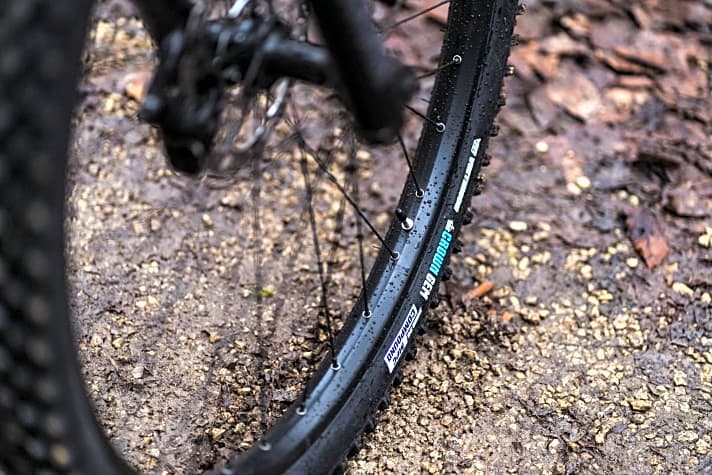   Drag Bicycles Trigger 7.5: Die breiten WTB-Felgen stützen den Reifen gut ab und ermöglichen einen niedrigen Luftdruck. Kehrseite ist das hohe Gewicht der Laufräder.