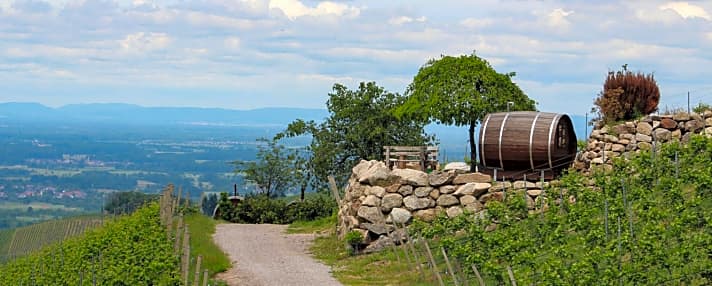   Schlafen im 8000 Liter großen Weinfass in Sasbachwalden.