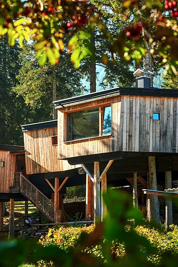   Außergewöhnliche Baumhäuser im Caravan Park Sexten